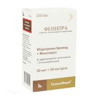 ФЕНИПРА 20мкг/доза+50мкг/доза x 200доза N1 аэроз д/ингал доз в комплекте: распылитель для противоастматических препаратов со счётчиком доз и спейсером ФАРМАЦЕВТИЧЕСКАЯ ФАБРИКА САНКТ-ПЕТЕРБУРГА