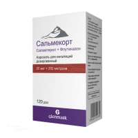 САЛЬМЕКОРТ 25мкг/доза+250мкг/доза x 120доза N1 аэроз д/ингал доз ГЛЕНМАРК ФАРМАСЬЮТИКАЛС