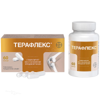 ТЕРАФЛЕКС 500мг+400мг N60 капс МАКИЗ-ФАРМА (ООО)