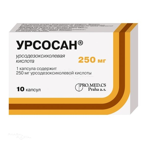 УРСОСАН 250мг N10 капс САНЕКА ФАРМАСЬЮТИКАЛС